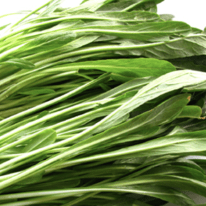 Fresh green leafy vegetables piled together.